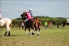 UKPA  NC Sat_1217